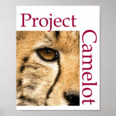 Affiche du projet CAMELOT (Devant)