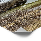 Affiche du reflet d'arbre dans la rivière (Coin)