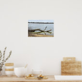Affiche du reflet d'arbre dans la rivière (Cuisine)