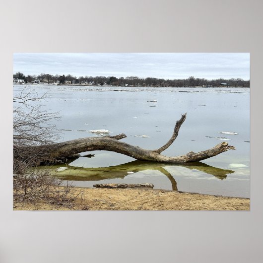Affiche du reflet d'arbre dans la rivière (Devant)