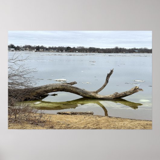 Affiche du reflet d'arbre dans la rivière (Devant)