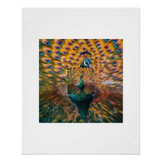 Affiche du reflet de l'eau du paon vivide