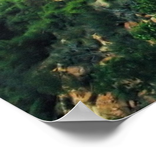 Affiche du sentier Angels Landing (Coin)