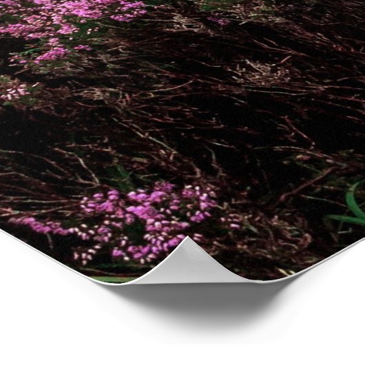 affiche du sentier de montagne (Coin)