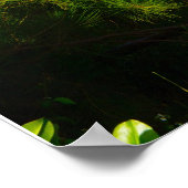 Affiche du sentier Kalalau (Coin)