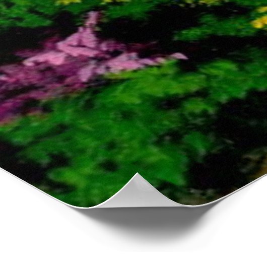 Affiche du sentier Sunrise (Coin)