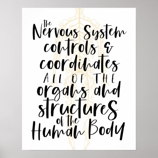 Affiche du système nerveux, Affiche chiropratique, (Devant)