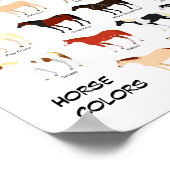 affiche du tableau des couleurs du cheval (Coin)