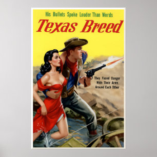Affiche du Texas