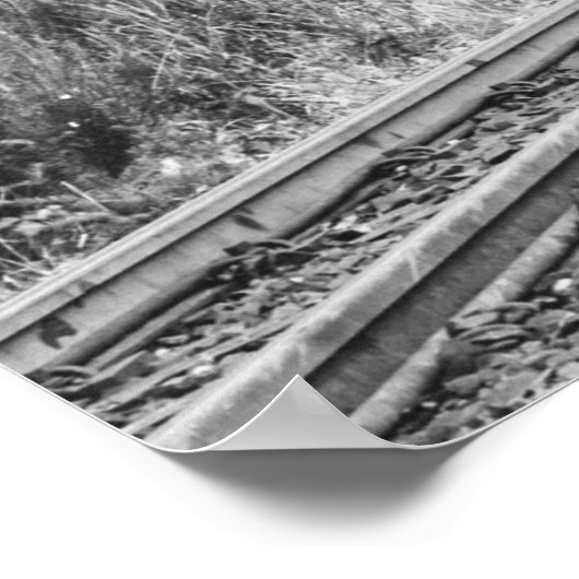 affiche du train d'hiver (Coin)