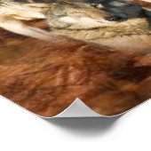 Affiche du trio Wolf (Coin)