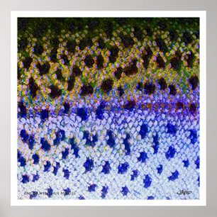 Affiche du truite arc-en-ciel FFF