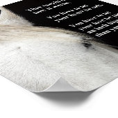 Affiche d'une photo d'un cheval blanc avec une cit (Coin)