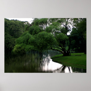 Affiche Eaux Calmes