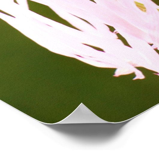 Affiche Ecclesiastes Versets (Coin)