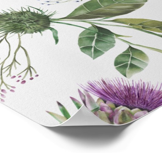 Affiche écossaise sur le chardon (Coin)