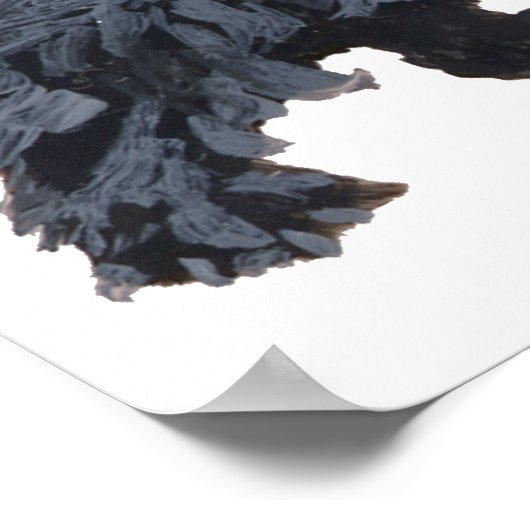 Affiche écossaise Terrier (Coin)