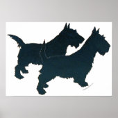 Affiche écossaise Terrier (Devant)