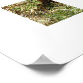 Affiche - Écureuil curieux (Coin)