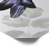 Affiche Edgar Allan Poe (Coin)