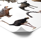 affiche éducative animal africain (Coin)