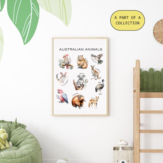 Affiche éducative sur les animaux australiens