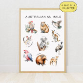 Affiche éducative sur les animaux australiens