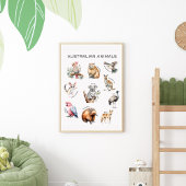 Affiche éducative sur les animaux australiens