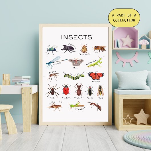 Affiche éducative sur les insectes
