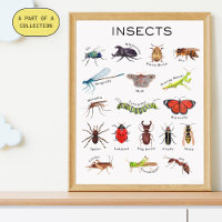 Affiche éducative sur les insectes