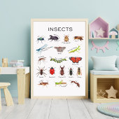 Affiche éducative sur les insectes