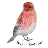 Affiche éducative sur les oiseaux d'hiver