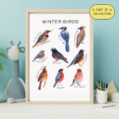 Affiche éducative sur les oiseaux d'hiver