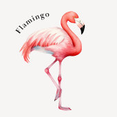 Affiche éducative sur les oiseaux tropicaux