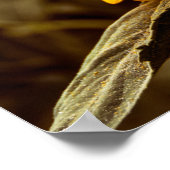 Affiche Élégance Tournesol (Coin)
