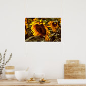 Affiche Élégance Tournesol (Cuisine)