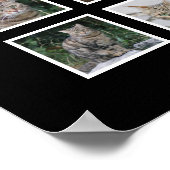 Affiche élégante pour animaux de compagnie noirs a (Coin)