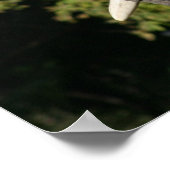 Affiche éléphant (Coin)