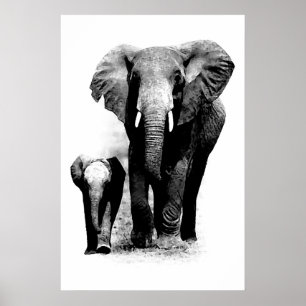 Affiche éléphant & bébé éléphant en noir et blanc