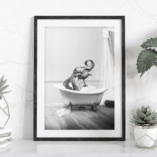 Affiche éléphant dans une baignoire