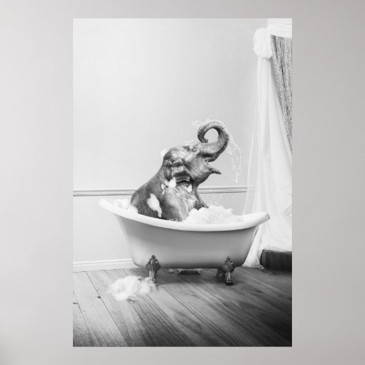 Affiche éléphant dans une baignoire (Devant)