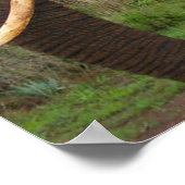 Affiche Elephant Upclose in Africa (Coin)