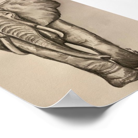 Affiche éléphante (Coin)