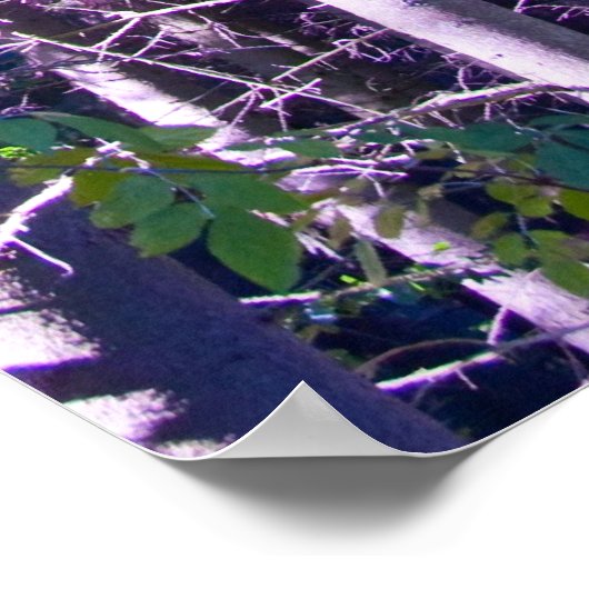 affiche en bois violet (Coin)