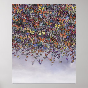 affiche en cascade papillon