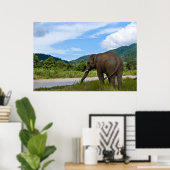 Affiche en couleur de l'éléphant (Bureau à domicile)