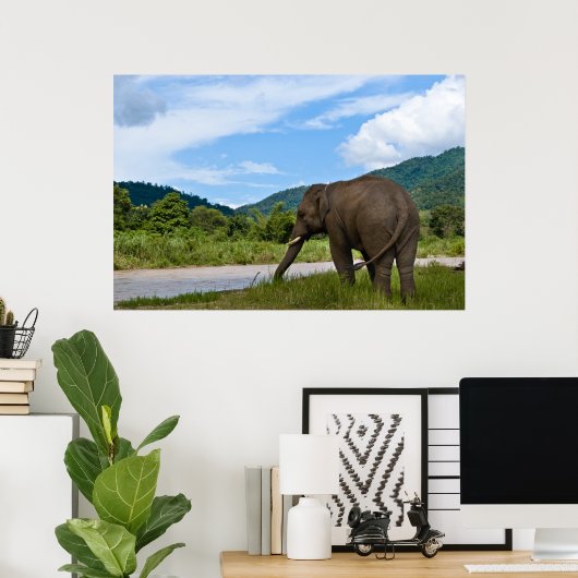 Affiche en couleur de l'éléphant (Bureau à domicile)