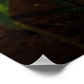 affiche en or ganesha (Coin)