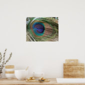 affiche en plumes de paon (Cuisine)