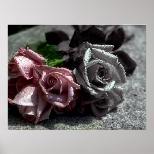 Affiche en rose, noir, blanc et couleur (Devant)